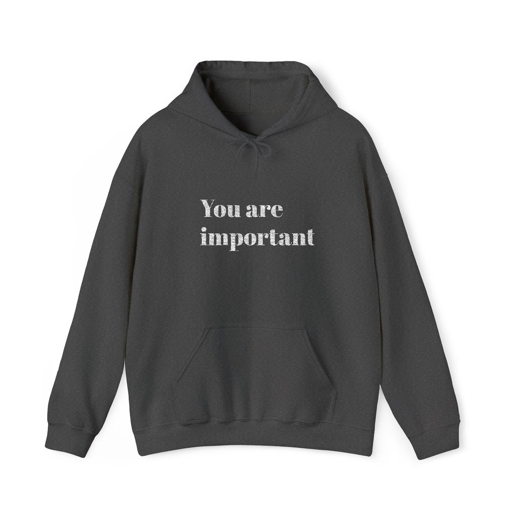 Empowering Hoodie - You Are Important, Motivational Gift, Cozy Sweatshirt, Unisex Fashion, Positive Vibes, Self-Love Apparel