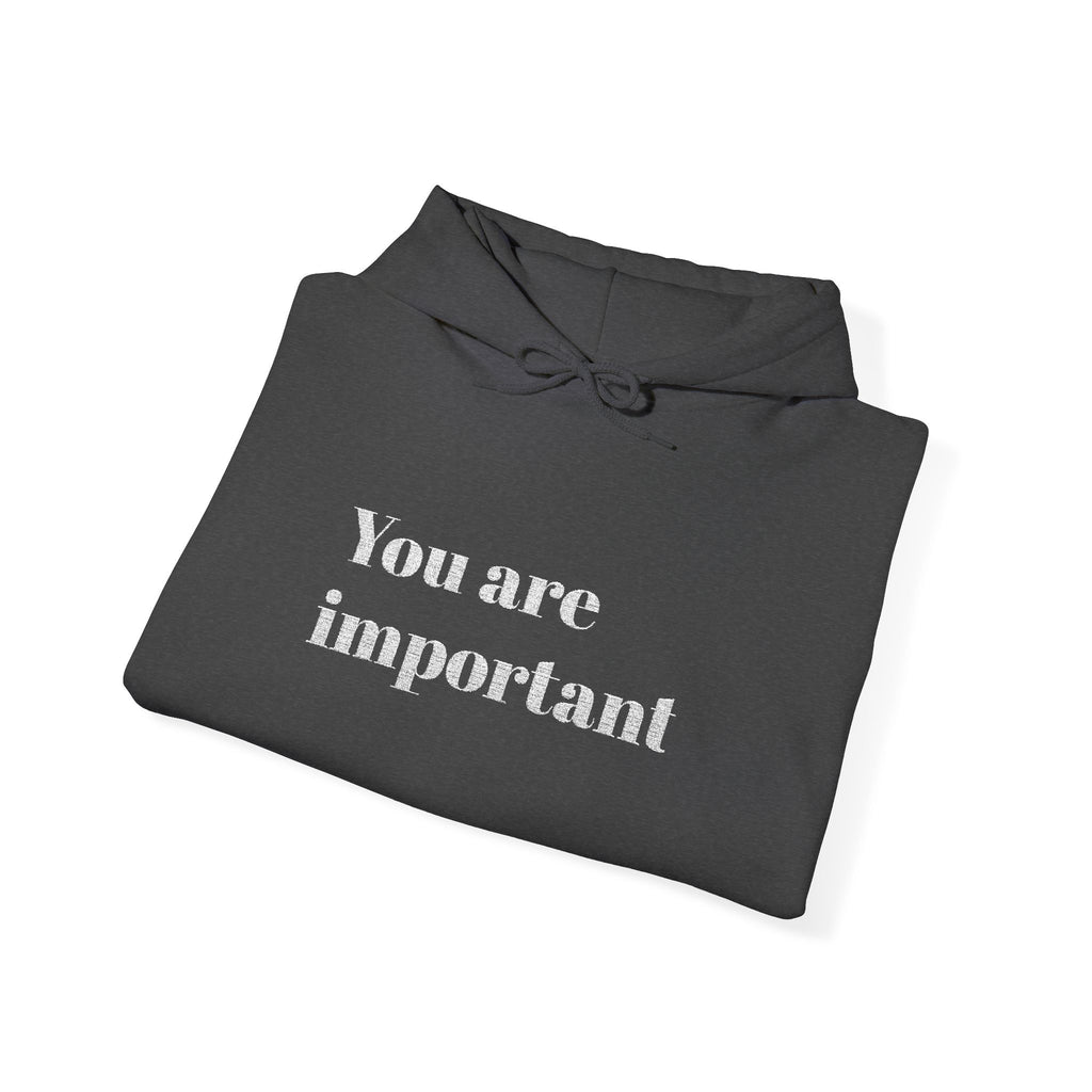 Empowering Hoodie - You Are Important, Motivational Gift, Cozy Sweatshirt, Unisex Fashion, Positive Vibes, Self-Love Apparel