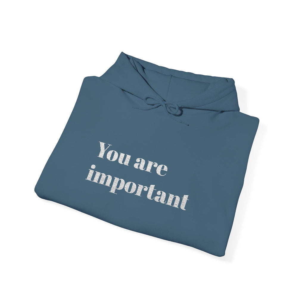 Empowering Hoodie - You Are Important, Motivational Gift, Cozy Sweatshirt, Unisex Fashion, Positive Vibes, Self-Love Apparel