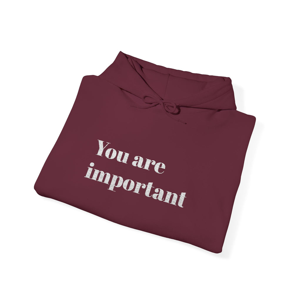 Empowering Hoodie - You Are Important, Motivational Gift, Cozy Sweatshirt, Unisex Fashion, Positive Vibes, Self-Love Apparel