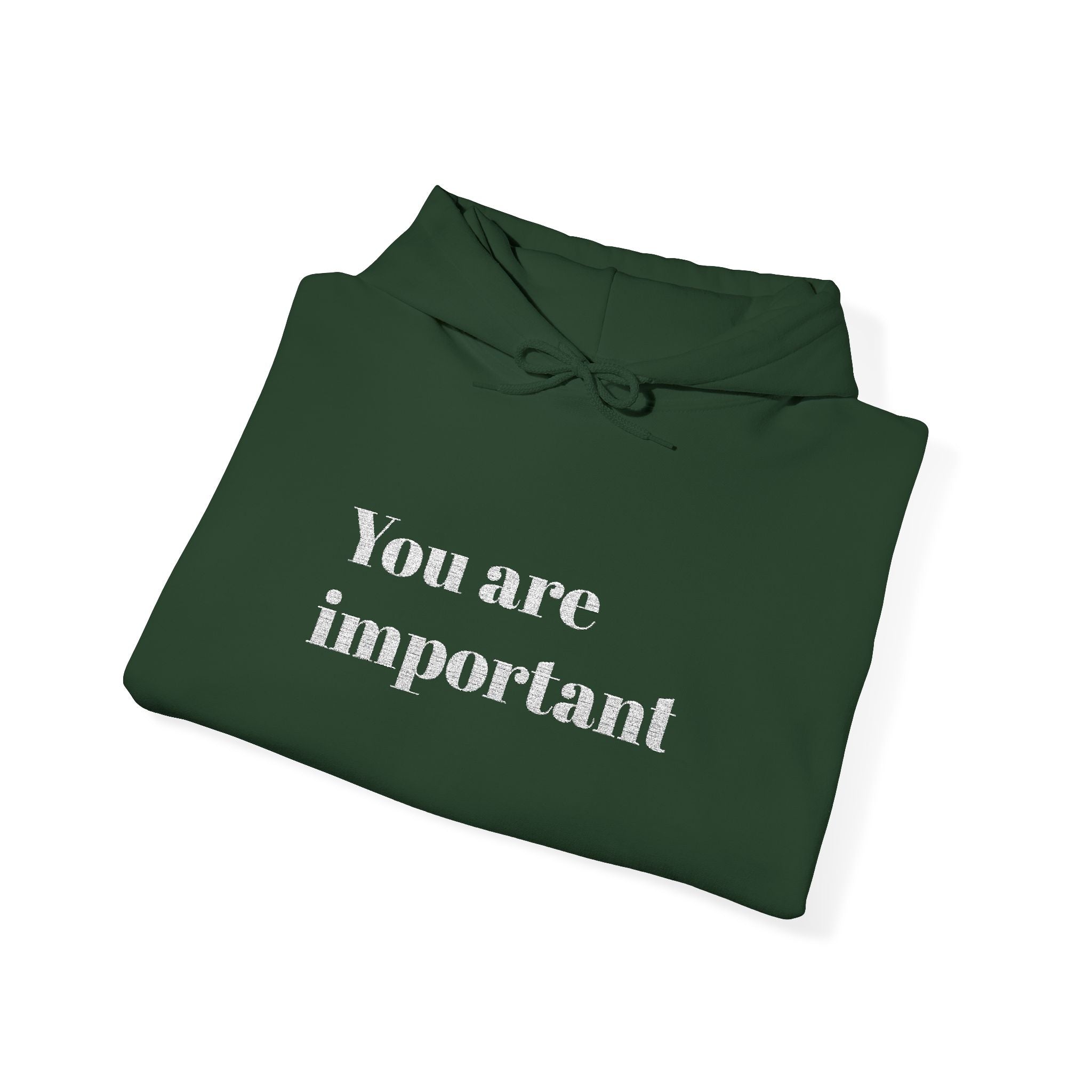 Empowering Hoodie - You Are Important, Motivational Gift, Cozy Sweatshirt, Unisex Fashion, Positive Vibes, Self-Love Apparel