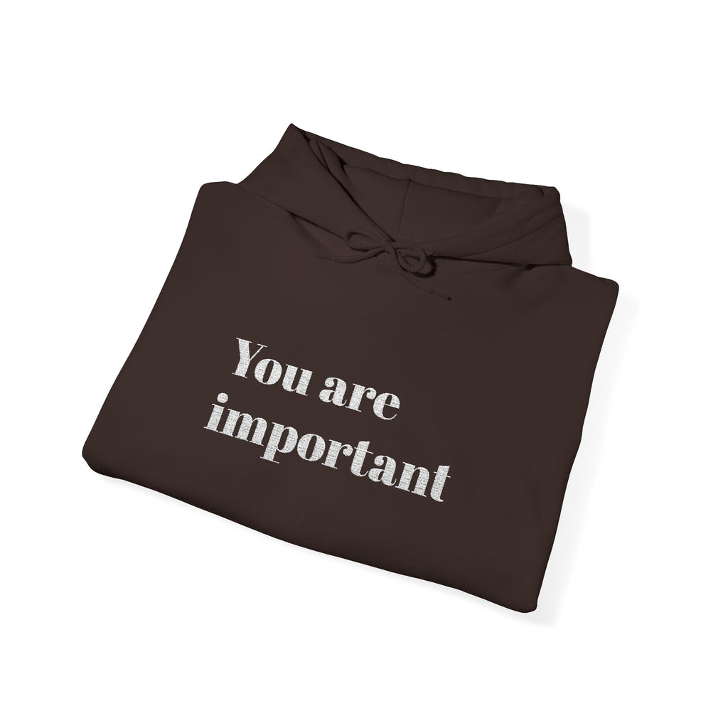 Empowering Hoodie - You Are Important, Motivational Gift, Cozy Sweatshirt, Unisex Fashion, Positive Vibes, Self-Love Apparel